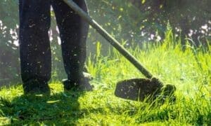 Grass cutting stock