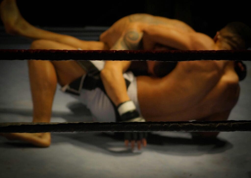 world wrestling federation